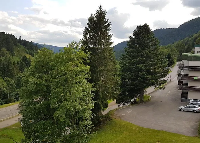 Le Belle-hutte La Bresse